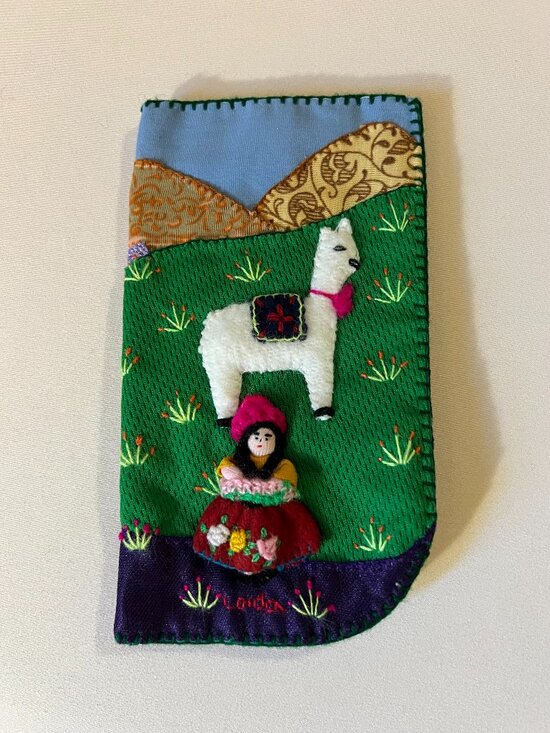 Accessories - Eye glass case.